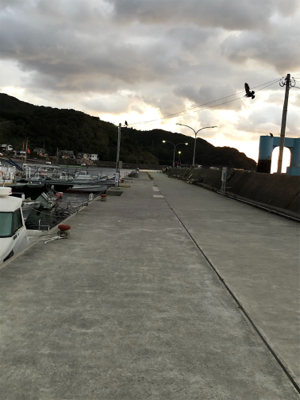 朝マズメに賭けてみた