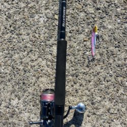 今シーズン最後のショアジキ