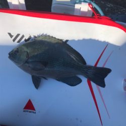 テトラでフカセ釣り