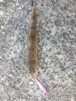 気温も釣果も寒い