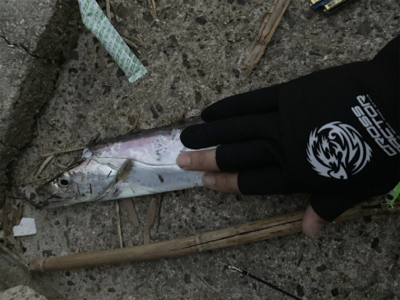 遅咲きの初タチ