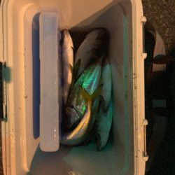 極寒アジング〜