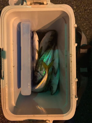 極寒アジング〜