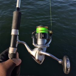 15ツインパワー 鱗付け