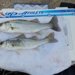 ラストキス&ファーストセイゴ