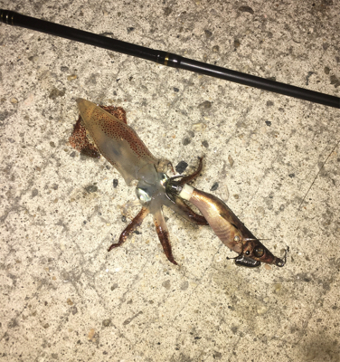 仕事終わりからのヒイカ遊び♪GUNNING-STYLE