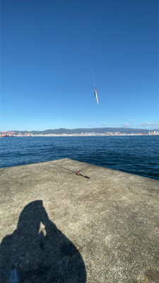 ハマチパターン