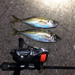 明日の朝ごはん