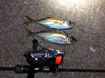 明日の朝ごはん