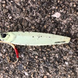 30分間限定…なんとか一本汗