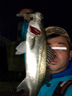 どぶ川シーバス！