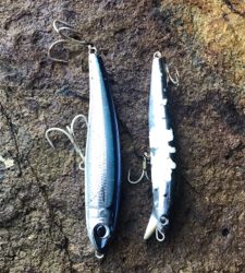 ショアジギング