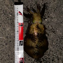 出だしはよかったのに…