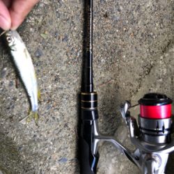 ジグヘッドフライ