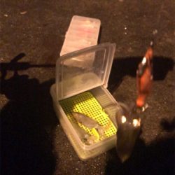 ヒイカ調査、広畑埠頭!