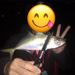 ヒイカゲームからの回遊アジング☆GUNNING-STYLE