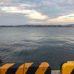 デカアジ求めて