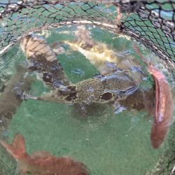 ポート田尻さんにて