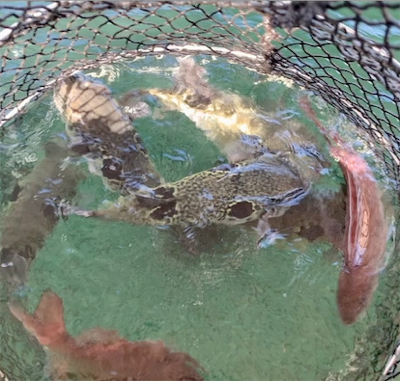 ポート田尻さんにて