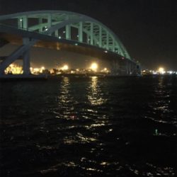 夕まづめのみアタリ集中