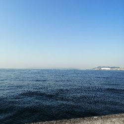 ライトショアジギング