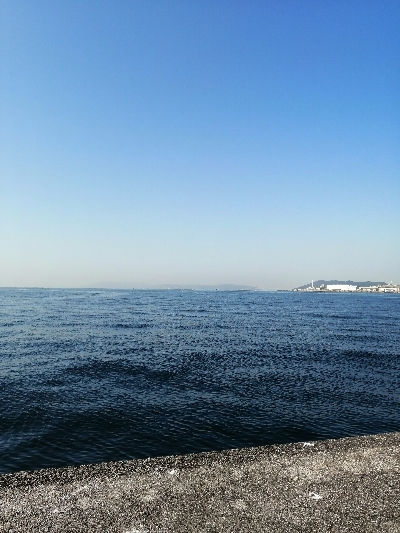 ライトショアジギング