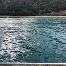 ボトムはやっぱエソ