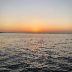 カスタムルアーの底力！