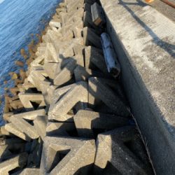 到着して直ぐ❗️