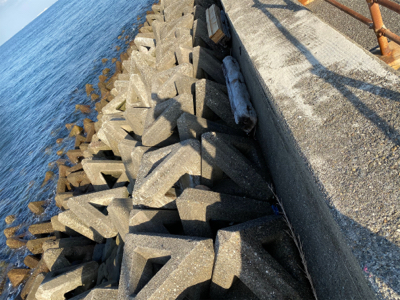 到着して直ぐ❗️