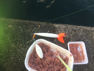 メクリアジ好釣!