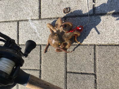 オクトパッシング