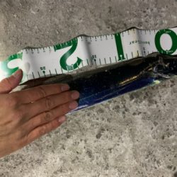 館山　タチウオ　爆釣