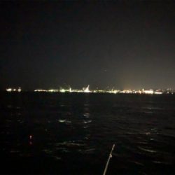 夕方の時合いが半端ないって！！