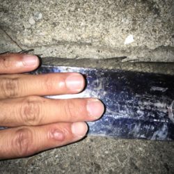 シーバスは獲れず…