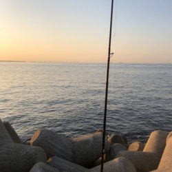 大きいのを釣りたいのは贅沢でしょうか