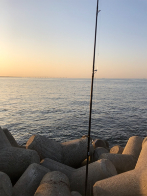 大きいのを釣りたいのは贅沢でしょうか