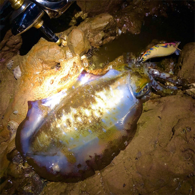 今季初キロアップ