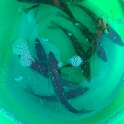 二週間ぶりの釣りですが⁉️