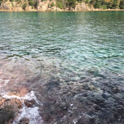 ベタ凪の澄み潮