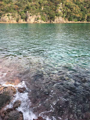 ベタ凪の澄み潮