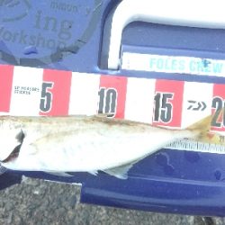 めっちゃ引くやん