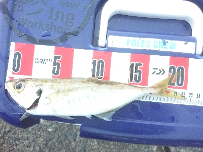 めっちゃ引くやん