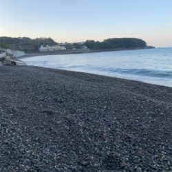 やっと1杯のアオリ