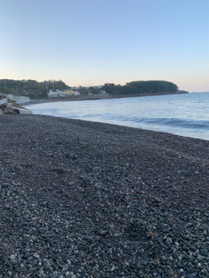 やっと1杯のアオリ