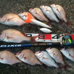 活性は高くとも、サイズは伸びず