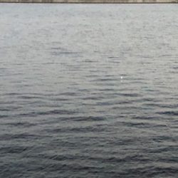 やっぱりホームが一番や!