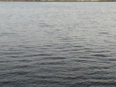 やっぱりホームが一番や!