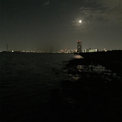 サヨリパターン？？