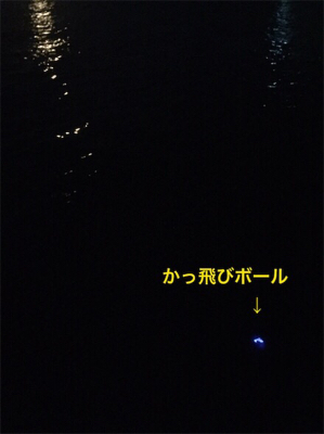 今夜はアカン！1匹だけ！